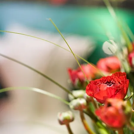 Jardins De Montmartre 3*